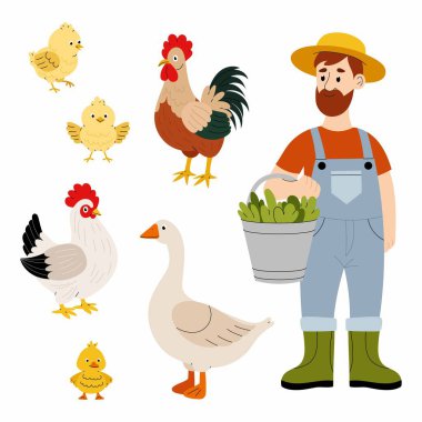 Kümes hayvanları deposu. Evcil kuşlar kaz, tavuk, horoz. Çiftlik işçisi kümes hayvanlarını besliyor. Beyaz arkaplanda düz çizimler.