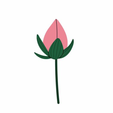 Kapalı nilüfer çiçeği tohumu. Pembe su zambağı çiçeği. Yoga, spa, masaj ve meditasyon için nilüfer ikonu. Beyaz arkaplanda vektör illüstrasyonu.