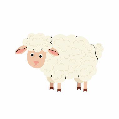 Ev hayvanı ya da çiftlik hayvanı. Şirin tüylü koyunlar. Çocukların komik koyunları. Beyaz arkaplanda düz vektör illüstrasyonu.