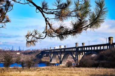 Nehrin üzerindeki köprü. Mavi gökyüzüne karşı ladin dalı. Kemerli köprü.