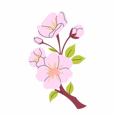 Kiraz çiçeği dalı. Hanami. Sakura çiçekleri. Vektör botanik elementi. Çiçek açan bahar ağacı beyaz arkaplanda düz stil.