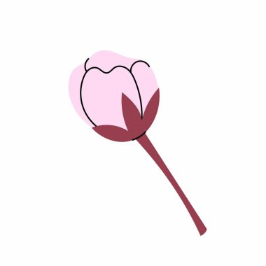 Sakura çiçeği. Pembe çiçek tomurcuğu. Çiçek açıyor. Bahar festivali için vektör botanik öğesi. Hanami. Beyaz arkaplanda düz resimleme.