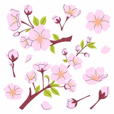 Pembe sakura seti, ağaç dalı, yaprak, çiçek ve Japon kiraz çiçekleri. Hanami tatili için çizimler. Düz biçimli vektör ilkbahar botanik elementleri.