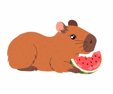 Tatlı Capybara. Capybara sulu karpuz yer. Olgun karpuz dilimleri. Komik yassı hayvan. Kawaii el çizimi Capibara baskısı. 