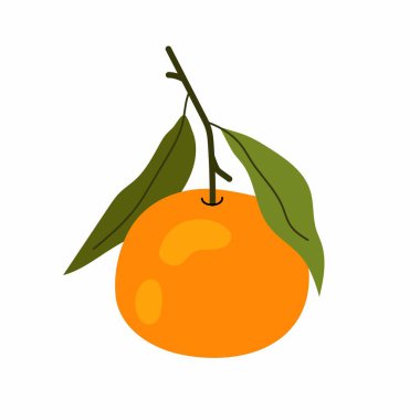 Dal üzerinde olgun mandalina. Turuncu turuncu meyve. Yeşil yapraklı aromatik tatlı mandalina. Beyaz arkaplanda düz resimleme.