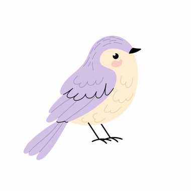 Menekşe renginde tatlı bahar kuşu. Bahar. Sevimli küçük kuş. Beyaz arkaplanda düz resimleme.