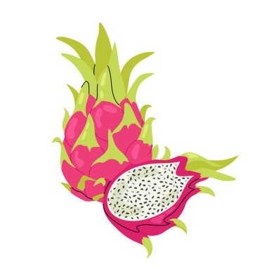 Ejderha meyvesi Pitahaya tam ve yarım. Beyaz arka planda tropik meyve pitayası. Olgun egzotik meyvelerin düz çizimi.