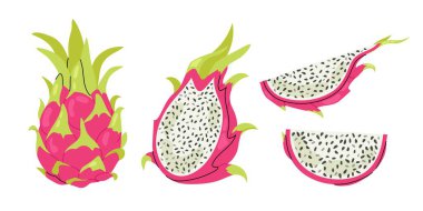 Ejderha meyvesi koy. Pitahaya parçaları. Tropik meyve ezmesi. Olgun egzotik meyvelerin düz çizimi.