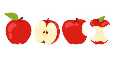 Kırmızı elma koy. Olgun ve ısırılmış elma, beyaz arka planda izole edilmiş bir elma gövdesi. Yiyecek, sağlıklı yaşam tarzı temaları ya da okul için.