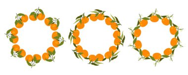 Tropik meyve çemberi sınırı. Mandalina çerçevesi seti. Mesaj için yer var. Kart, davetiye, düğün, doğum günü ve diğer tatiller için.