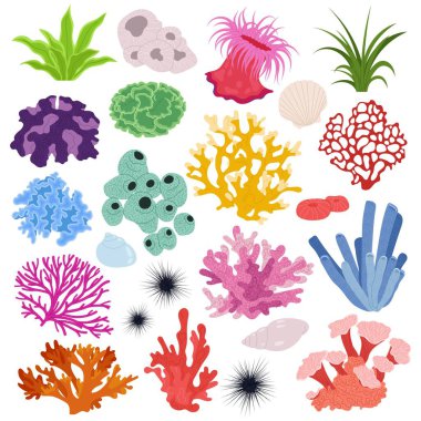 Deniz mercanlarını ve yosunlarını yerleştir. Tropik sualtı bitki örtüsü. Renkli su altı bitkisi. Okyanustaki mercan resifinin düz çizimi, sualtı deniz altı..