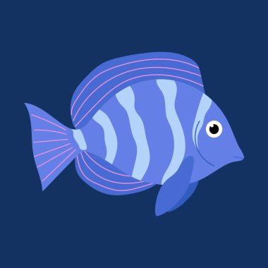 Tropik mavi balık. Resif balığı. Deniz hayvanı. Su altı yaşamı. Akvaryum.