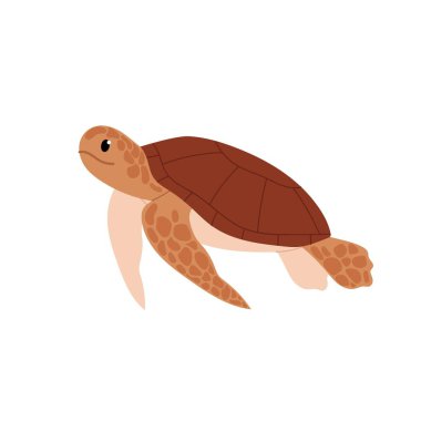 Şirin deniz kaplumbağası. Deniz ya da okyanus hayvanı. Çizgi film tarzında çocuk resimleri. Su altı dünyası.