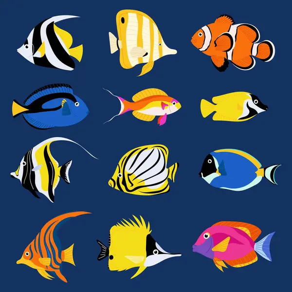 Düz çizgi film tarzında renkli tropikal balık çizimleri. Eğitim malzemeleri, deniz tasarımları ve akvaryum temalı projeler için ideal.