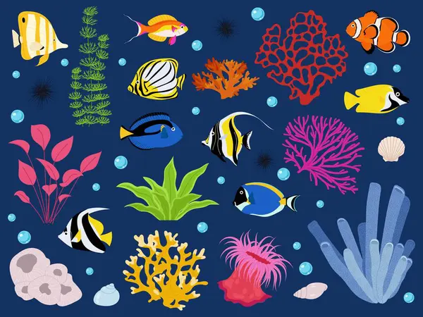 Canlı karikatür tarzında tropikal balık, deniz yosunu ve mercan çizimleri. Deniz temalı tasarımlar ve eğitim içeriği için mükemmel.