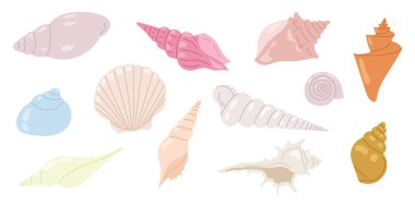 Deniz kabuklarını yerleştir. El yapımı su altı elementleri. Yaz için resim, okyanus tasarımı, plaj dekorasyonu, çocuk projeleri. Deniz kabukları koleksiyonu.