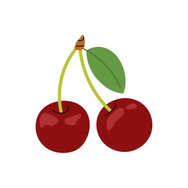 Olgun kirazlar. Beyaz arka planda sulu kiraz dalları. Kiraz çileği çizimleri. Mevsimlik meyve.