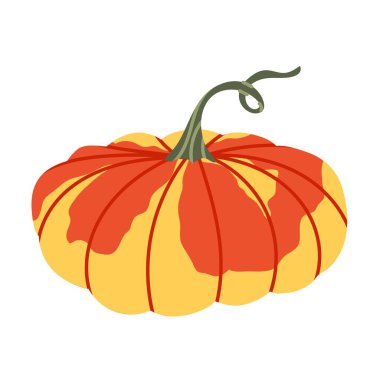 Merhaba sonbahar. Sonbahar dekoratif balkabağı. Mevsimlik tasarım, hasat temaları ve sonbahar dekorasyonları veya Şükran Günü tasarımları için mükemmel..