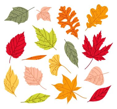 Sonbahar yaprakları. Akçaağaç, meşe ve diğer ağaçlardan farklı yapraklar ekleyin. Düz bir sonbahar dekorasyonu. Sarı, kırmızı, turuncu yaprak desen, pankart, çıkartma. Merhaba sonbahar..