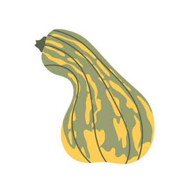 Yeşil ve sarı renkli sonbahar balkabağı çizimi. Mevsimlik tasarım, hasat temaları ve sonbahar dekorasyonları ya da Şükran Günü tasarımları için mükemmel. Merhaba sonbahar..