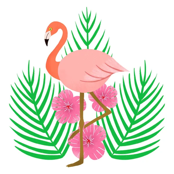 stock image Flamingo flowers illustration isolated on white background