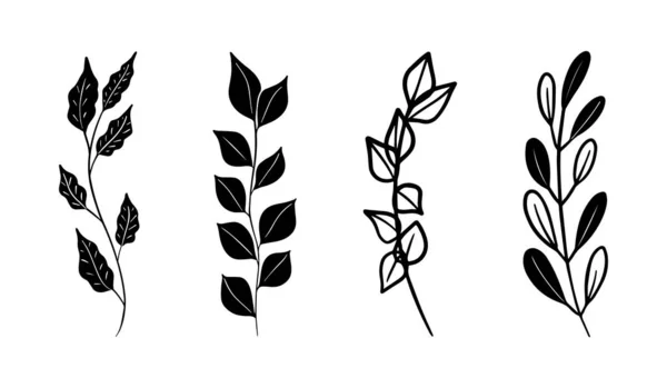 Äste Botanischer Elemente Mit Blättern Auf Weißem Grund — Stockvektor