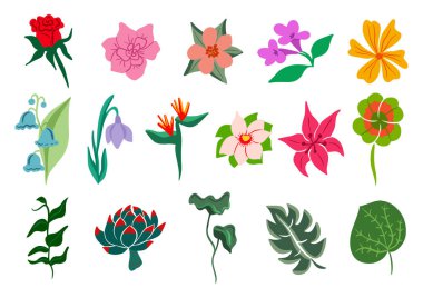 Bitkiler ve çiçekler tasarım koleksiyonu