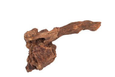 dried twigs isolated on white background.