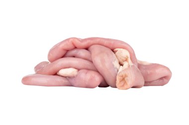 Fresh Pork Intestines isolated on white background.