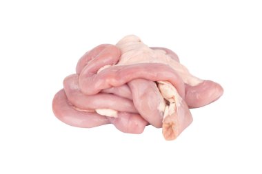 Fresh Pork Intestines isolated on white background.