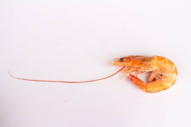 shrimp food orange shellfish isolated on white background.