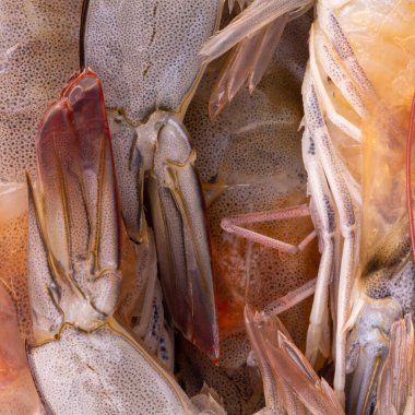 fresh shrimp closeup background sea raw prawn.