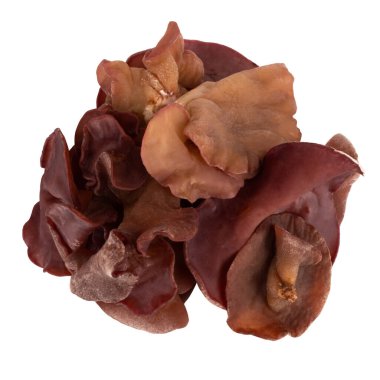 Jelly ear mushroom isolated on white background.