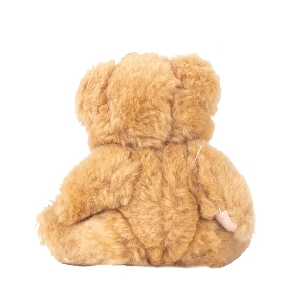 Медведь Тедди Изолирован Белом Фоне — стоковое фото
