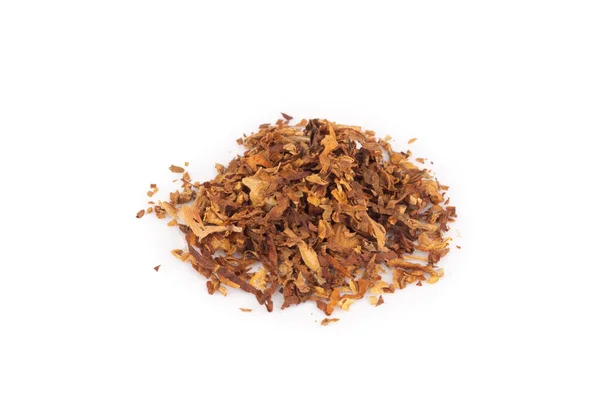 Tobacco Leaves Isolated White Background — Stock Photo, Image