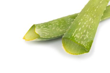 aloe vera beyaz arkaplanda izole.