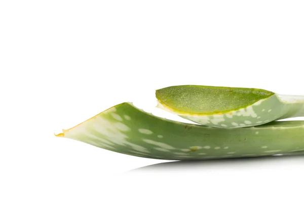 Aloe Vera Isoliert Auf Weißem Hintergrund — Stockfoto