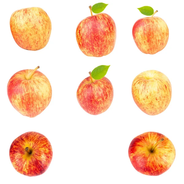 Omena Eristetty Valkoisella Taustalla Gaala — kuvapankkivalokuva
