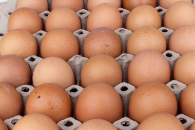 Yumurta paneli beyaz arkaplanda izole edildi.