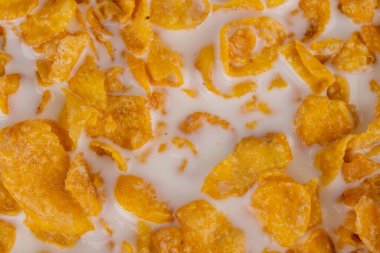 Mısır gevreği sütü yakın yiyecek..