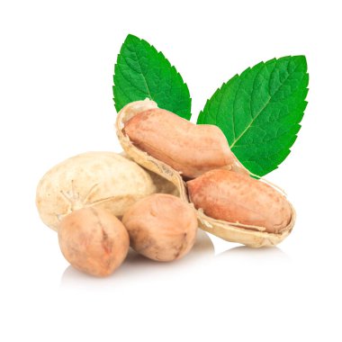 beyaz arkaplanda izole edilmiş yerfıstıkları.