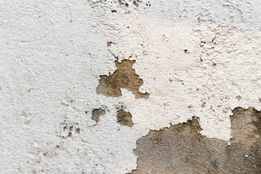 Beyaz beton duvar yüzeyi soyuluyor, kirli, eski.
