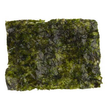 Beyaz arkaplanda yosun izole edilmiş.