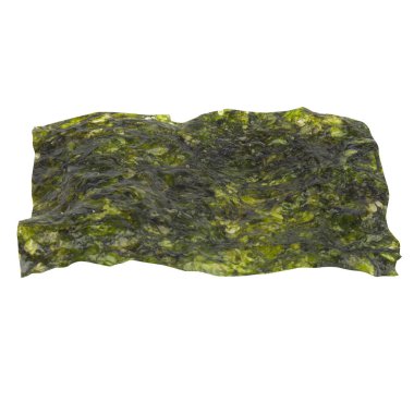 Beyaz arkaplanda yosun izole edilmiş.