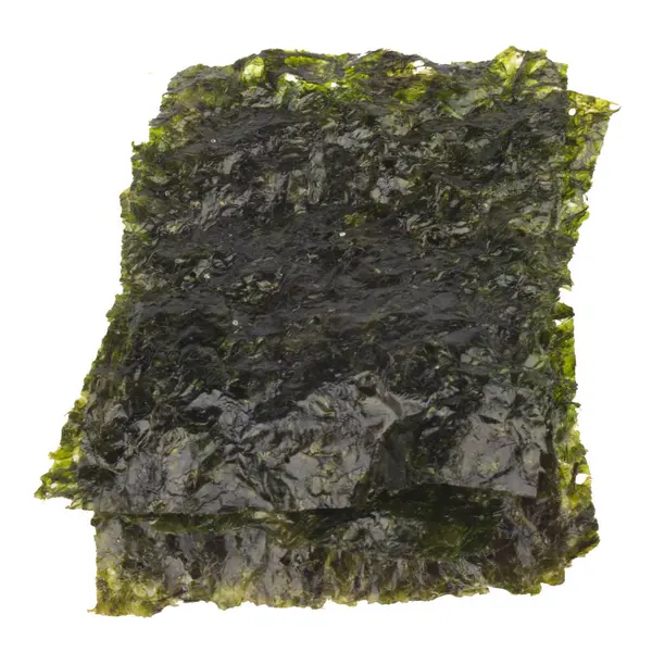 Beyaz arkaplanda yosun izole edilmiş.