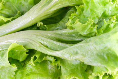 Doku ve ayrıntıları gösteren yeşil marulun yakın çekimi.