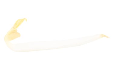 Beyaz Arkaplanda Fasulye filizi Yığını.