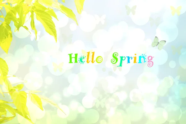 春季背景 春天的黄色枫树 在抽象明亮的春天或夏天的风景纹理上 缀满蝴蝶和文字 出售的空间 美丽的背景 — 图库照片