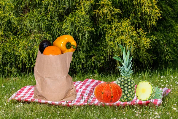 Red Picnic blanket with fresh pineapples, pumpkin and a paper bag with delicious various fruits in the sunlight on a meadow with daisy flowers on a summer day.
