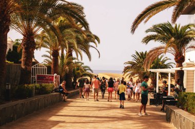 Gran Canaria, İspanya, Kanarya Adaları, Playa del Ingls - 17 Haziran 2024. Dunes de Maspaloma 'ya bakan bir turist. Maspaloma Kumulları Doğa Koruma Alanı.